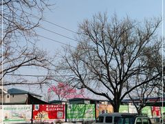 -王四营海鲜市场
