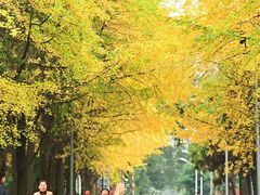 -四川大学(华西校区)