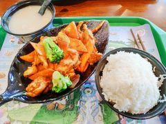 -雨林餐厅(长隆海洋王国店)