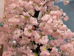 -翼丰日语·日本留学·移民服务中心(宝安校区)