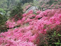 -木兰云雾山