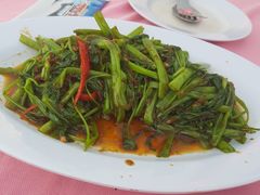 马来风光-旗鱼海番村(Orang Asli)