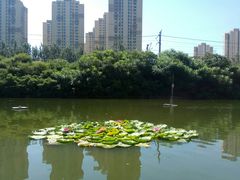 -前关湿地公园