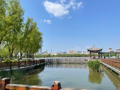 -莲花池公园