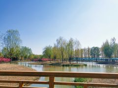 -东郊湿地公园