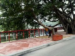 -石湾公园