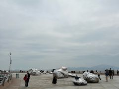 -演武大桥观景平台