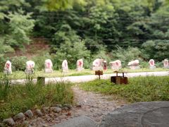 -青峰峡国家森林公园