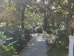 -青枫公园