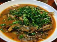 -全乐鱼馆·淳牌有机鱼直营店