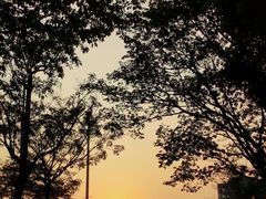 -广州市白云山风景名胜区