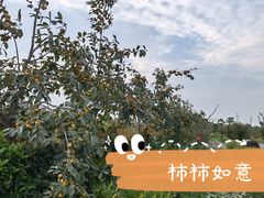 -菊园百果园
