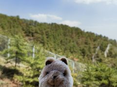 -大青山野生动物园