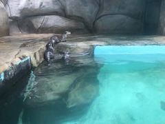 -无锡动物园·太湖欢乐园