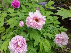 -狼山风景名胜区