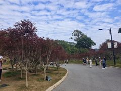 -广州市帽峰山景区