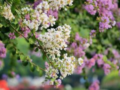 -杭州城北体育公园