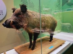 -国家自然博物馆