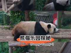 -大连森林动物园