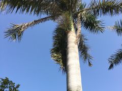 -厦门宝龙铂尔曼大酒店·龙之渊中餐厅