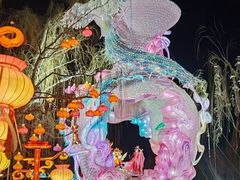 -淄博花灯齐彩城