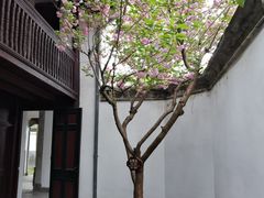 -溪口-滕头旅游景区