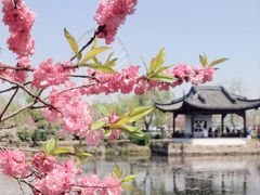 -无锡蠡湖国家湿地公园-蠡园