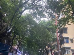 -磁器口古镇