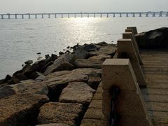 -宝安西湾红树林湿地公园