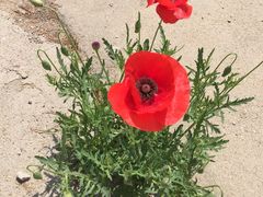 -仁川港国际客运码头