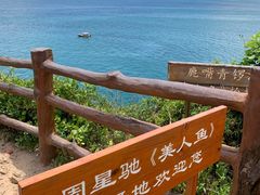-杨梅坑