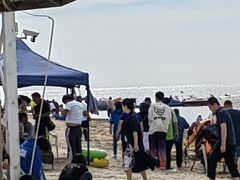 -碣石国家级海洋公园
