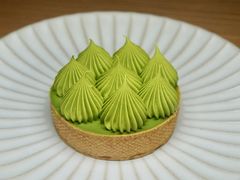抹茶挞-猫里有甜