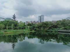 -四海公园(南山区)