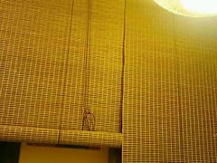 -春草居酒屋·晴子の店