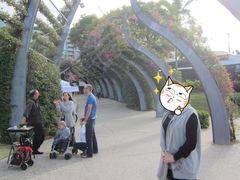 -布里斯班南岸公园