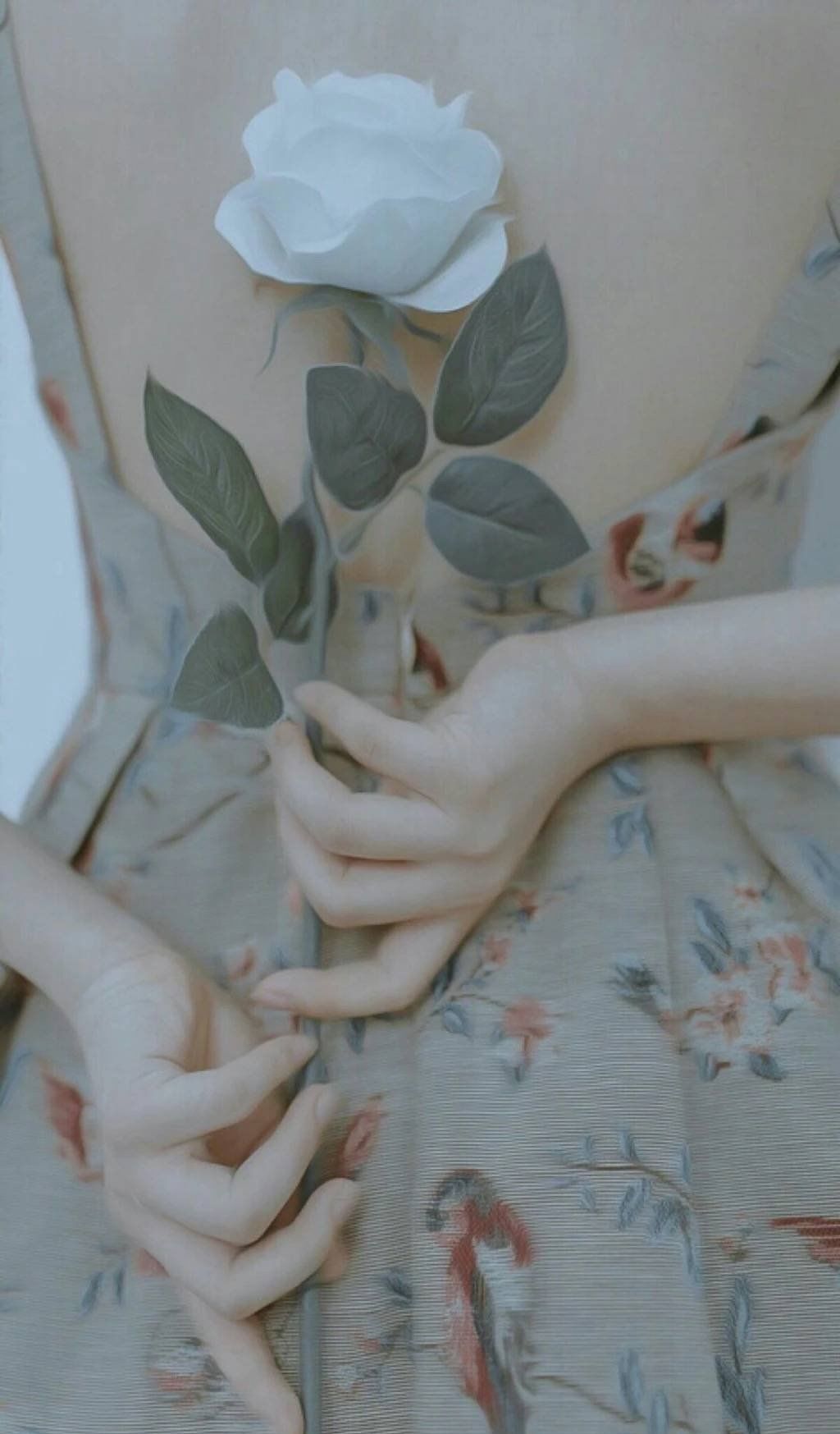 高清壁纸之背影