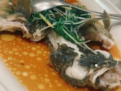 -老洋房花园饭店(绍兴路店)