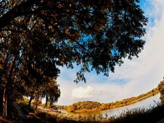 -上海市保健医疗中心