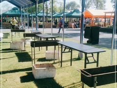 -春花秋色城市公园