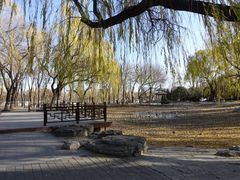 -玲珑塔公园