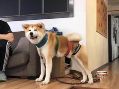 -YCHL Studios健身工作室(市二宫店)
