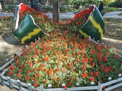 -长春公园(普阳街道)