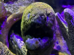 -太平洋海底世界