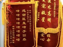 -瑞派·关忠动物医院·猫专科·犬专科(三环新城店)