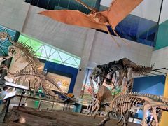 -湖南省地质博物馆