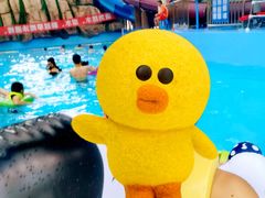 -合肥融创水世界