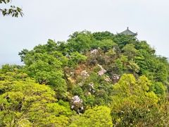 -莫干山风景区
