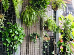 -肴约·花园式餐厅(湖里店)