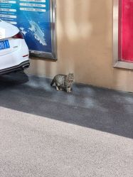 -上海漾颜医疗美容